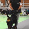 Billund 2015
