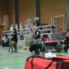 Billund 2015