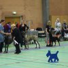 Billund 2015