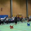 Billund 2015
