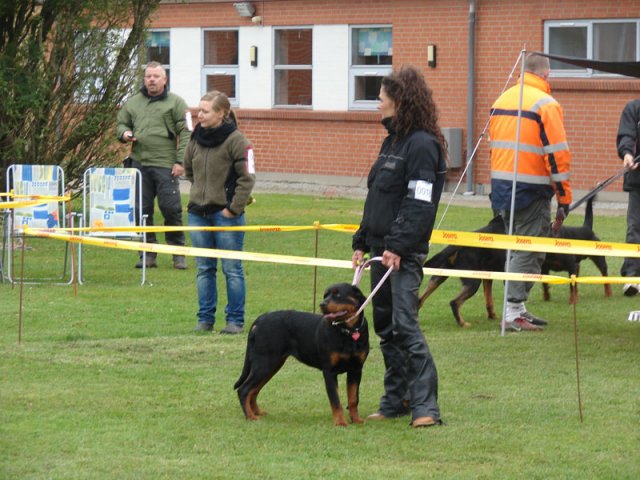 Vrå 2012