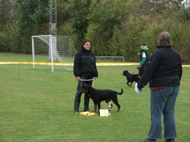 Vrå 2012