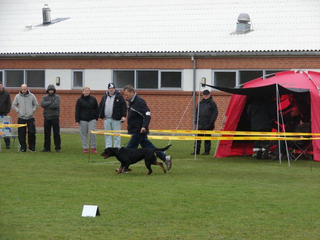 Vrå 2012
