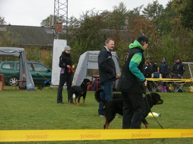Vrå 2012