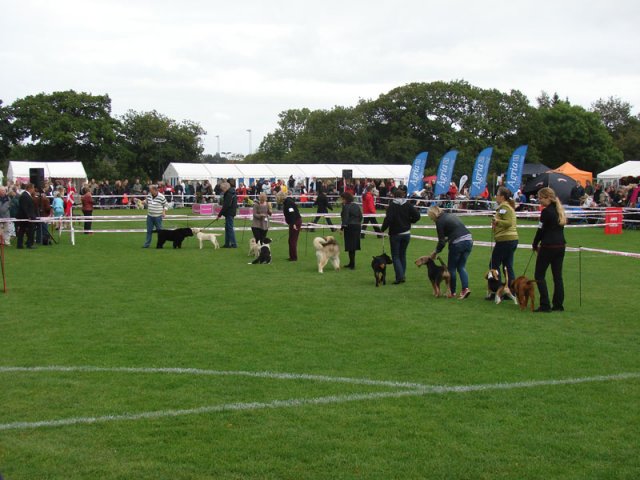Vejen 2012