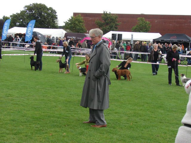 Vejen 2012