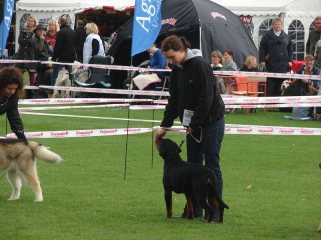 Vejen 2012