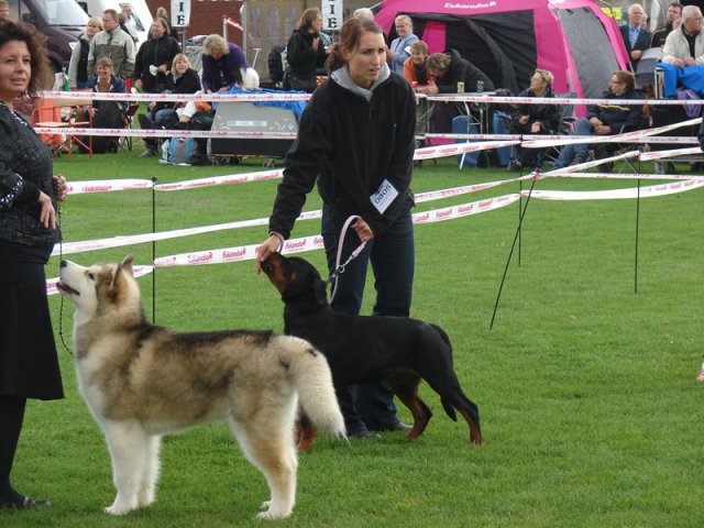 Vejen 2012