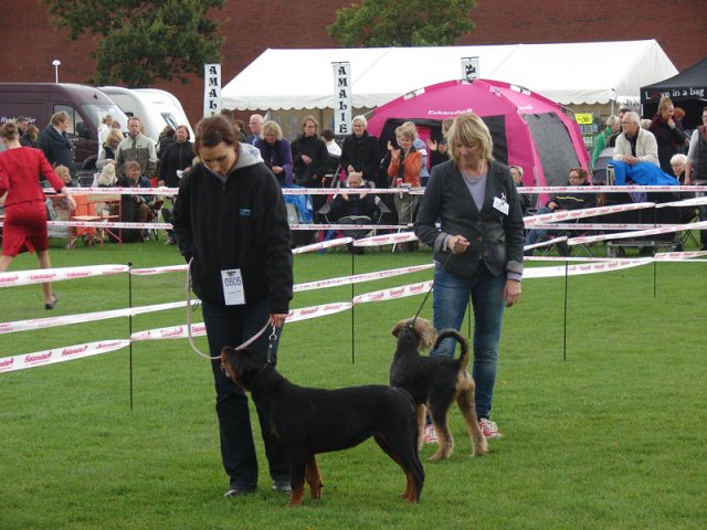 Vejen 2012