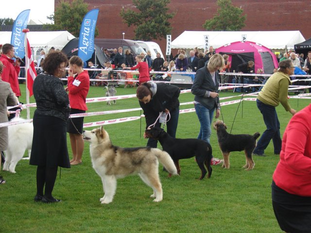 Vejen 2012