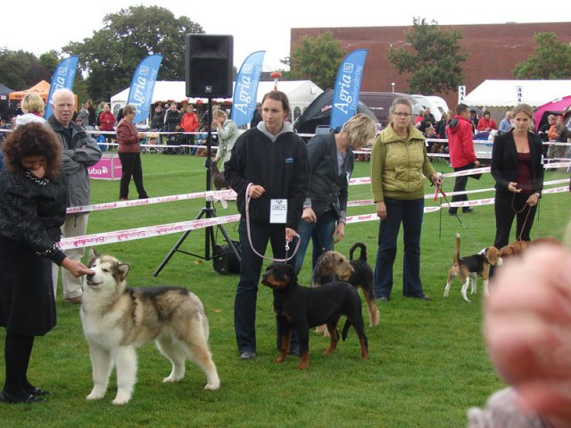 Vejen 2012