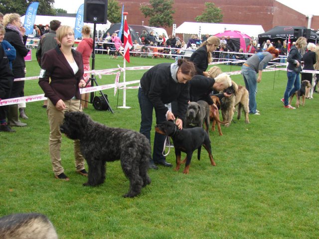 Vejen 2012