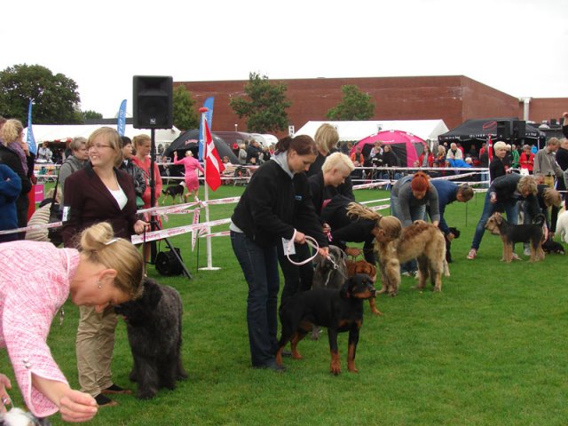 Vejen 2012
