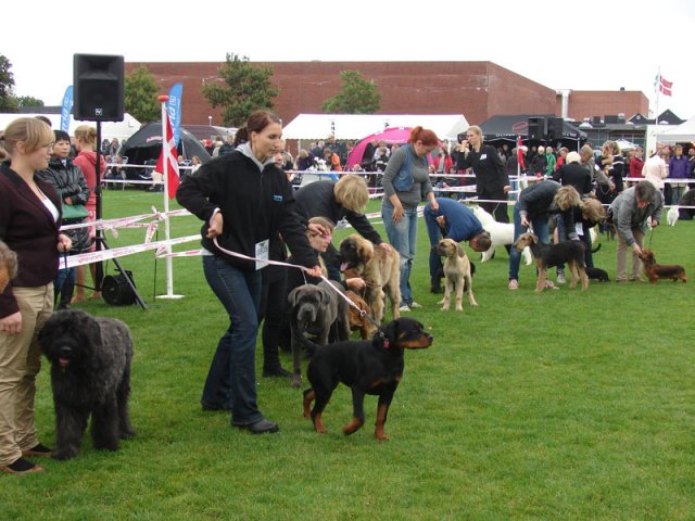 Vejen 2012