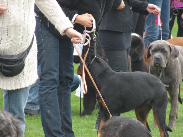 Vejen 2012