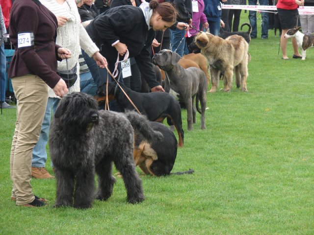 Vejen 2012