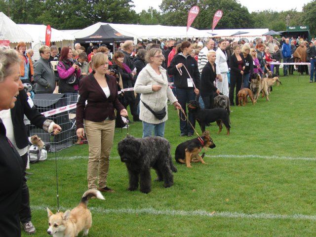 Vejen 2012