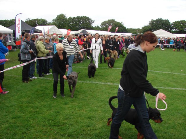 Vejen 2012