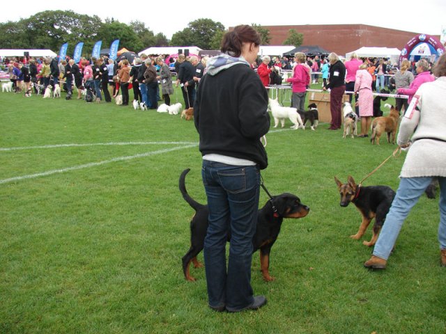 Vejen 2012