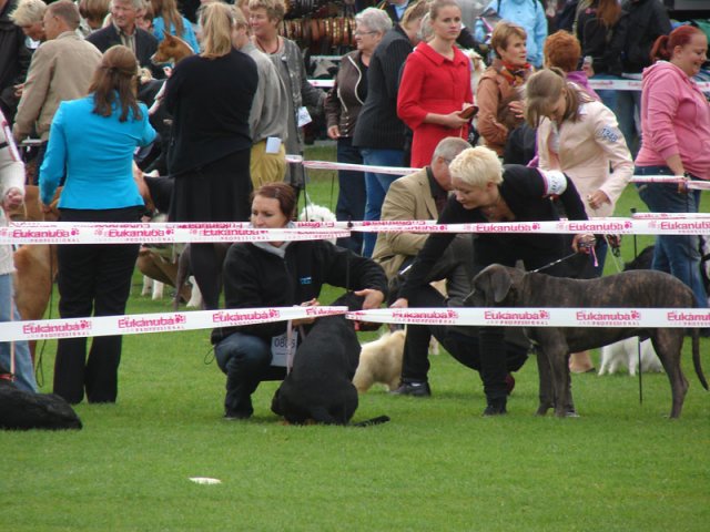 Vejen 2012