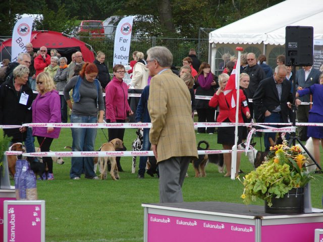 Vejen 2012