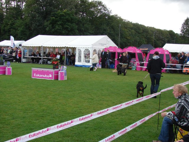 Vejen 2012
