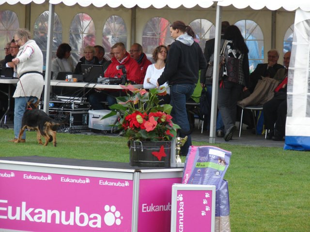 Vejen 2012