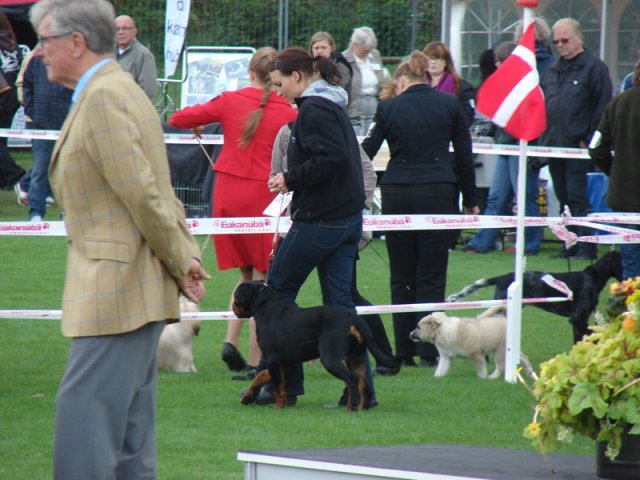 Vejen 2012