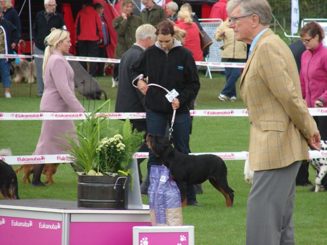 Vejen 2012
