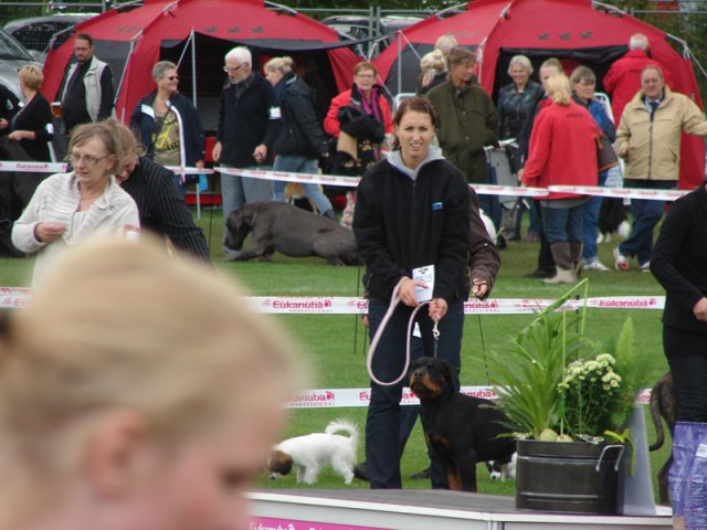 Vejen 2012