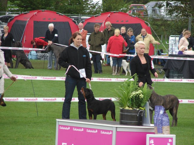 Vejen 2012