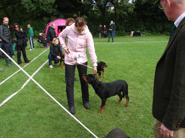 Vejen 2012