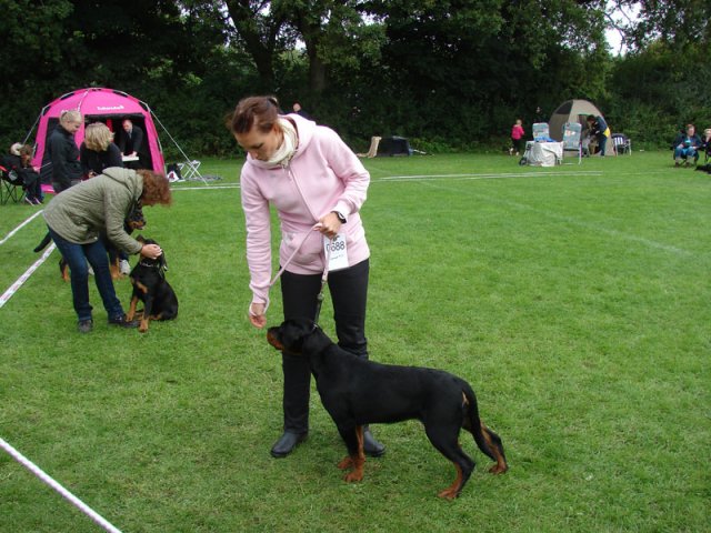 Vejen 2012