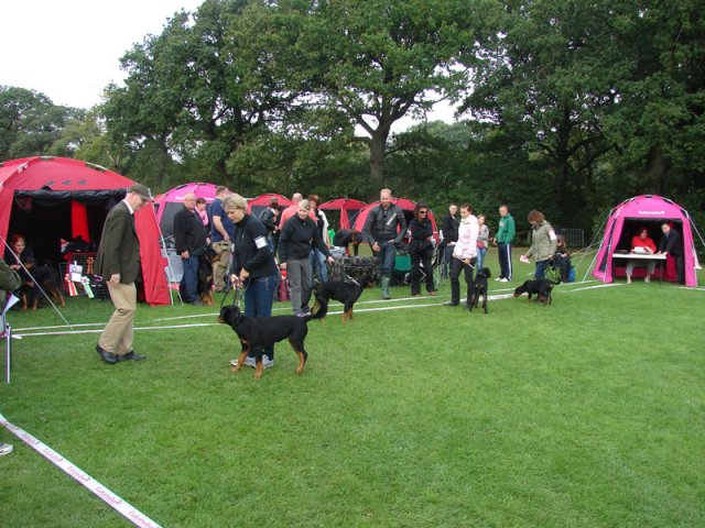 Vejen 2012