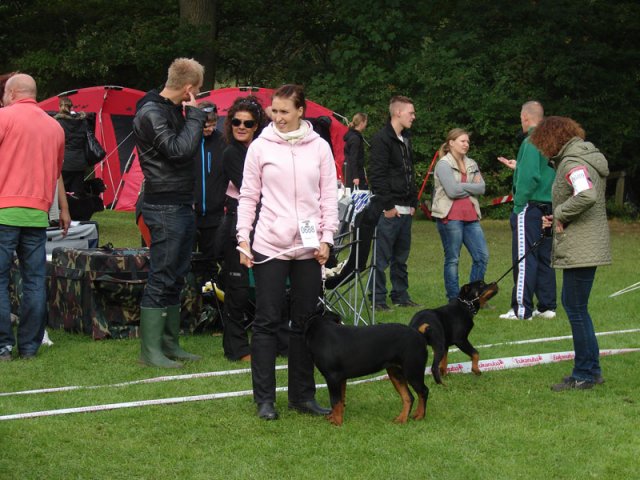Vejen 2012