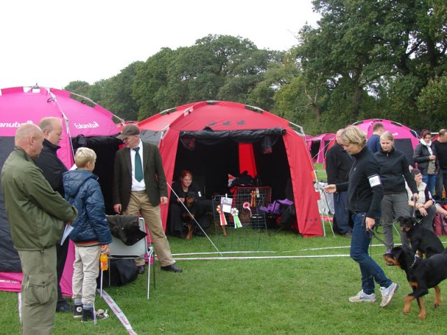 Vejen 2012