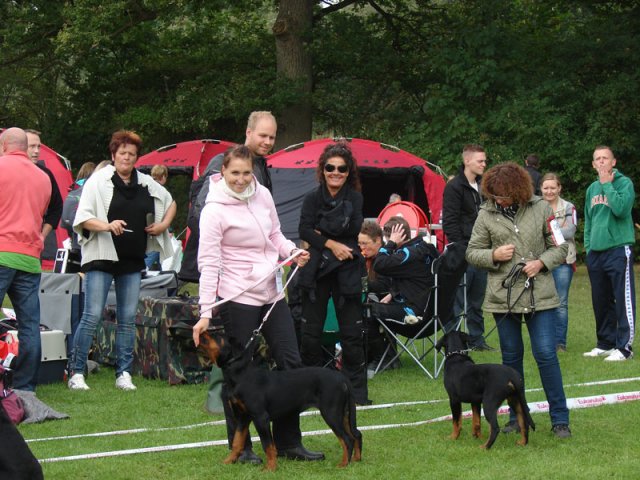 Vejen 2012