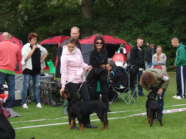 Vejen 2012