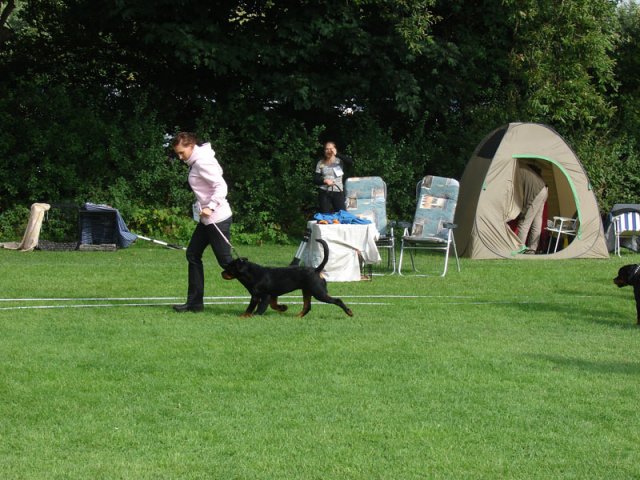 Vejen 2012