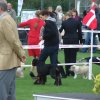 Vejen 2012