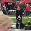 Vejen 2012