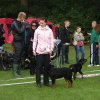 Vejen 2012