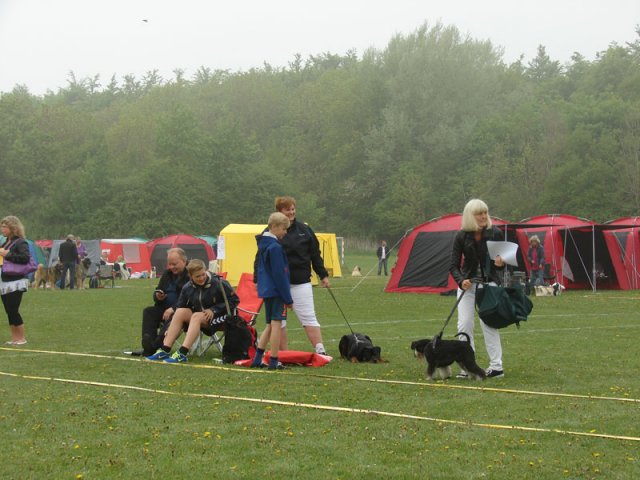 Svendborg 2013