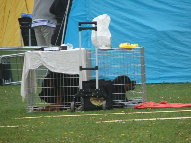 Svendborg 2013