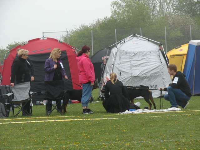 Svendborg 2013
