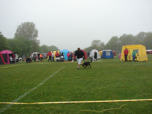 Svendborg 2013