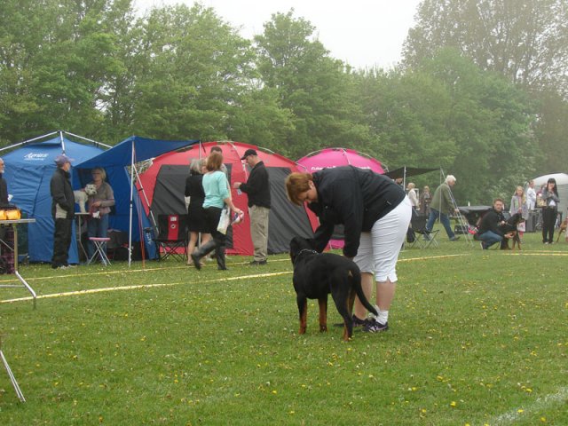 Svendborg 2013