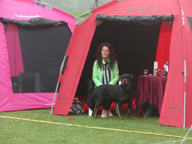 Svendborg 2013