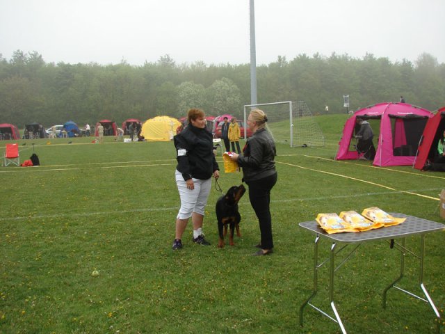 Svendborg 2013