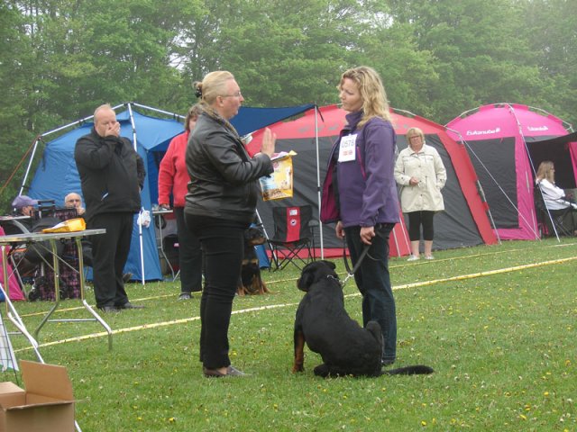 Svendborg 2013